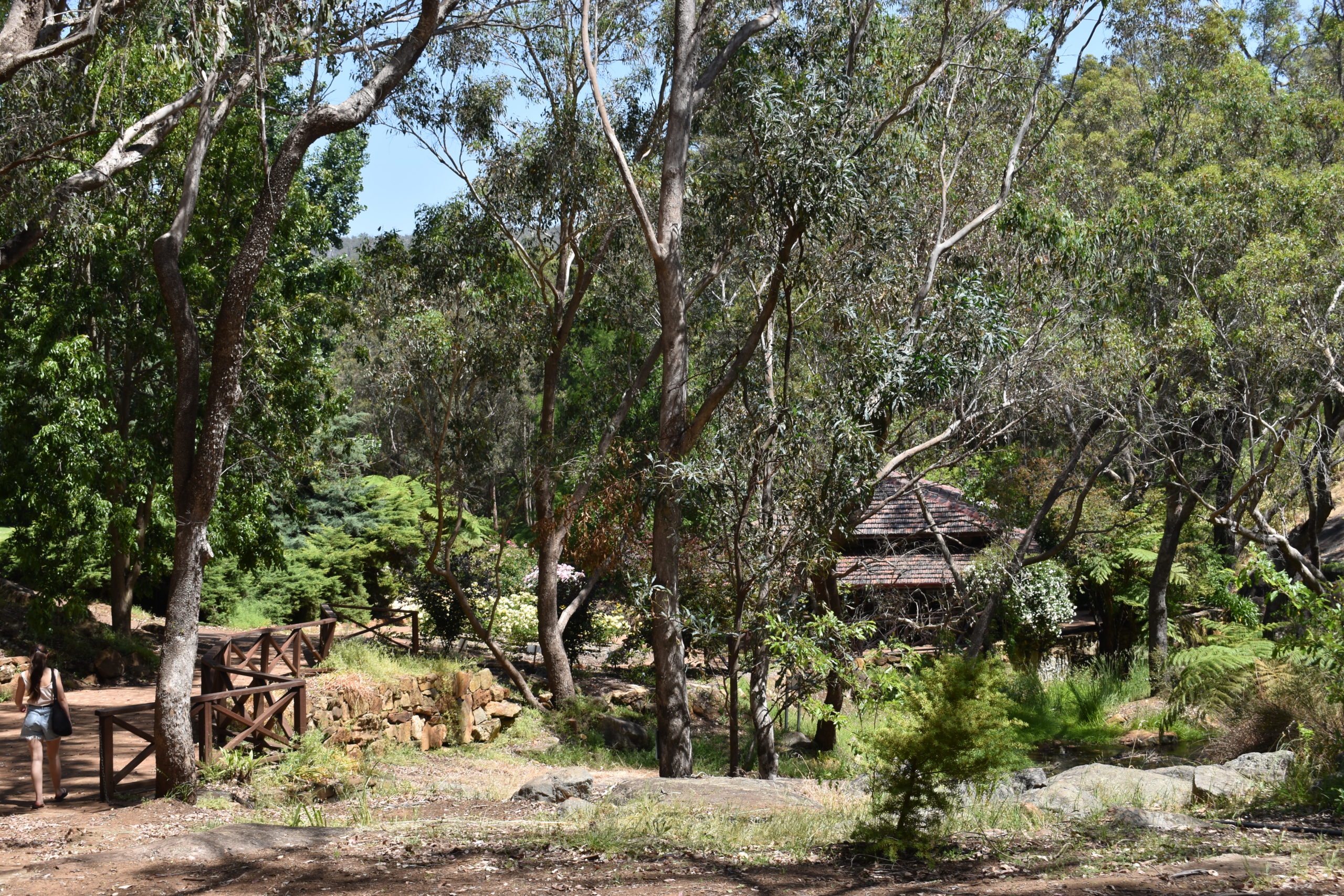 A Picnic At Araluen Botanic Park